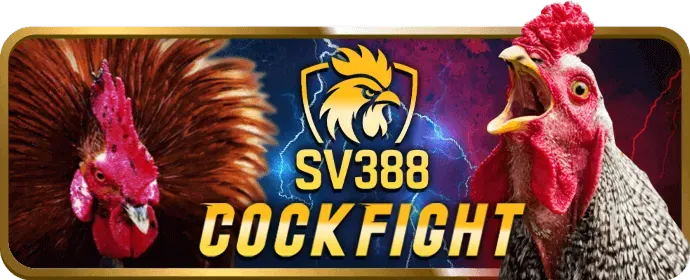 Hướng dẫn chơi slot game tại xoxo66 casino